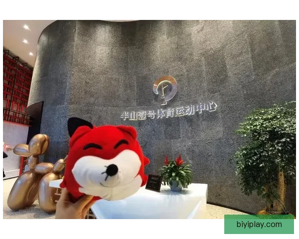 围绕必一体育备用网址打造安全稳定高效的体育娱乐平台新体验探索